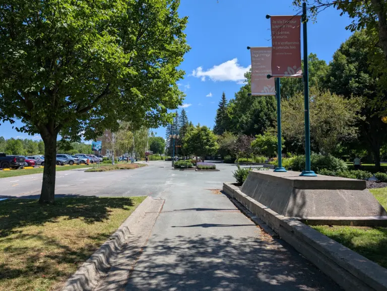 Programme d’aide financière pour l’achat d’arbres et d’arbustes destinés à la renaturalisation des bandes riveraines